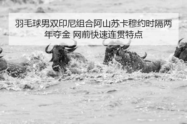 羽毛球男双印尼组合阿山苏卡穆约时隔两年夺金 网前快速连贯特点